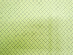 Great value It's A Birds Life #6141205-3 available to order online Australia