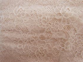 Great value 170mm Iris Stretch Lace Trim- Beige #1058 available to order online Australia
