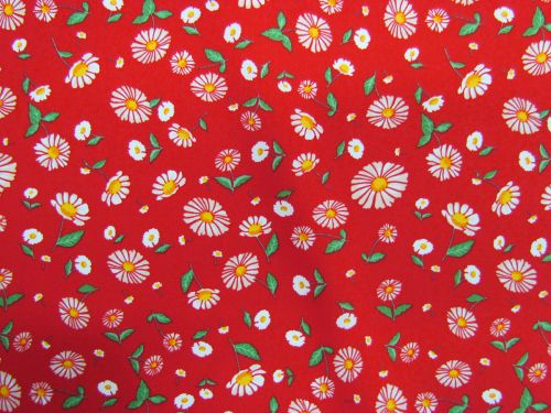 Great value Summer Daisies Cotton #PW1448 available to order online Australia