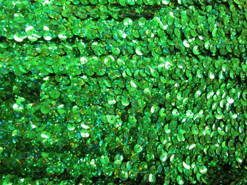 Stretch Sequin Trim- 1 Row- Holographic Emerald #T335