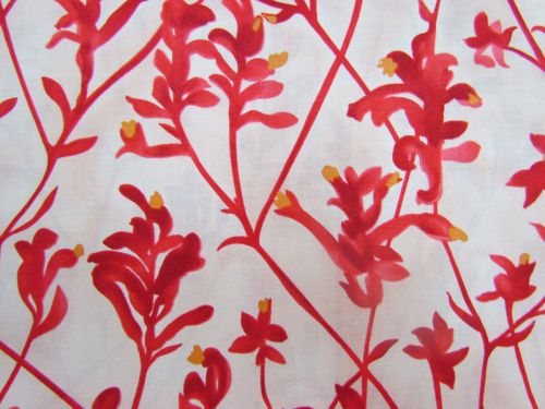 Great value Kangaroo Paw Cotton- Red available to order online Australia