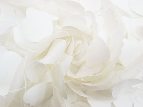 Great value Dancing Petals Embellished Silk Organza- Ivory #12482 available to order online Australia