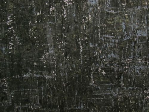 Great value Nitty Gritty- Black- A1434K available to order online Australia