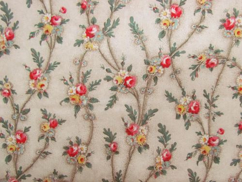 Great value Devonstone Collection- St Etienne- Clementine- DV5804 available to order online Australia