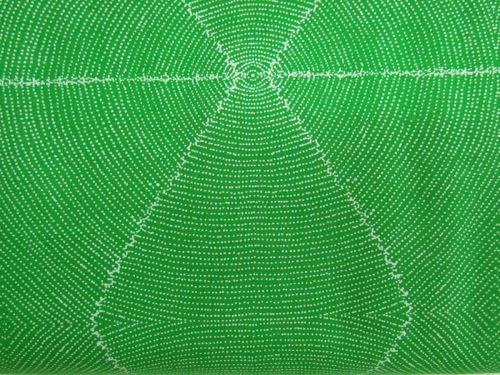 Great value Plum Seeds- Green available to order online Australia