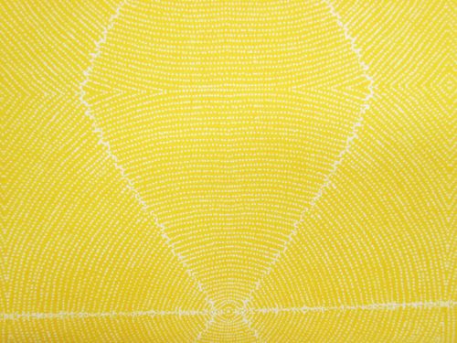 Great value Plum Seeds- Yellow available to order online Australia