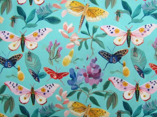 Great value Devonstone Collection- Moths- DV6727 available to order online Australia
